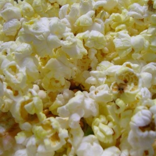 스피디팝 팝콘 옥수수 10kg