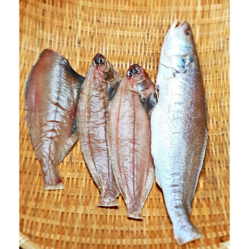 죽도시장 반건조 생선 기름가자미 참가자미 고등어 바다장어 홍가자미 열기 민어조기 도루묵 양미리 제수용 구이 반건조 열기 1미 1개_이미지
