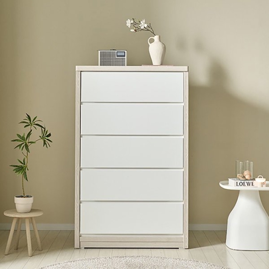 �ٽ����̽� ���� WH5102R 5�� ���� ������ 900