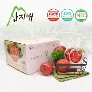 예당식품영농조합법인 산지애 사과하나 120ml 30포