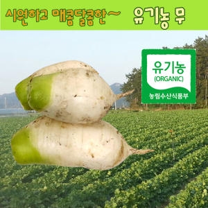 친환경 유기농 무농약  무말랭이 무차 무청 시래기 무말랭이차 볶은무말랭이