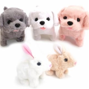 ���̶��� ����� ����� ����