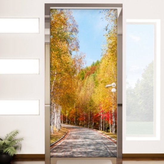 cj504 따사로운산책길 현관문시트지