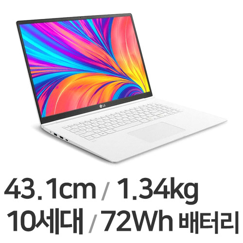 LG전자 2020 그램17 17Z995-VA50K (SSD 256GB)