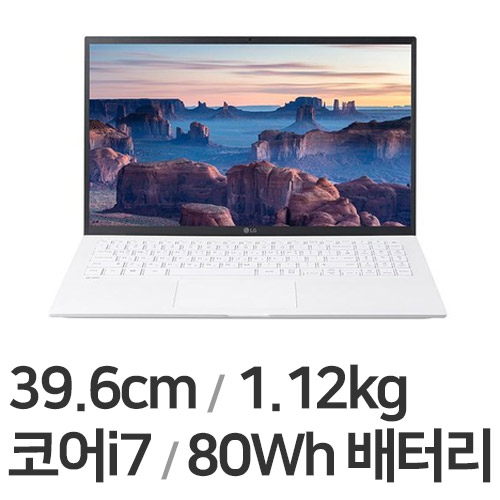LG전자 2021 그램15 15ZD95N-GX70K (SSD 256GB)