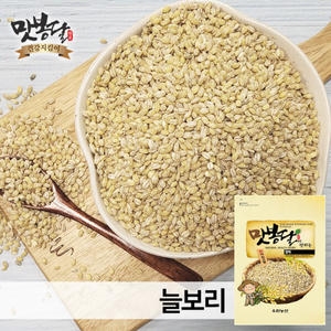 우리농산 맛봉달 25년산 늘보리쌀 보리쌀 옛날보리쌀 국내산 (5kg,1개)