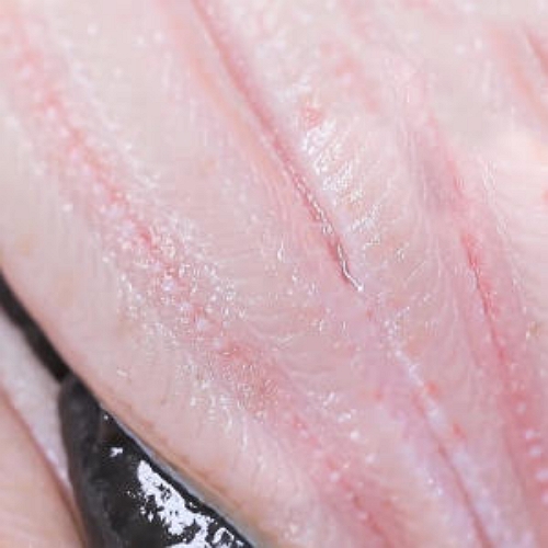 먹보야 양산도 풍천민물장어 손질후 700~750g