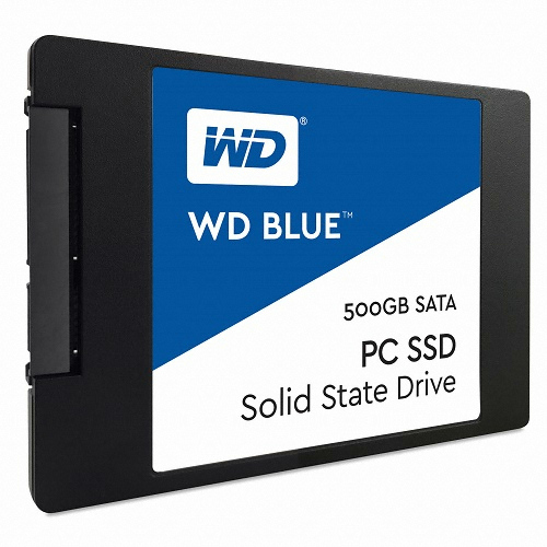Western Digital WD Blue SSD (500GB)_이미지