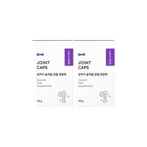 본아페티 독 관절 영양제 조인트캡스 30g (60p) (2개)