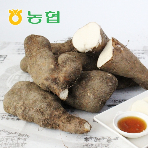  친환경팔도 북안동농협 안동 산마 못난이 5kg