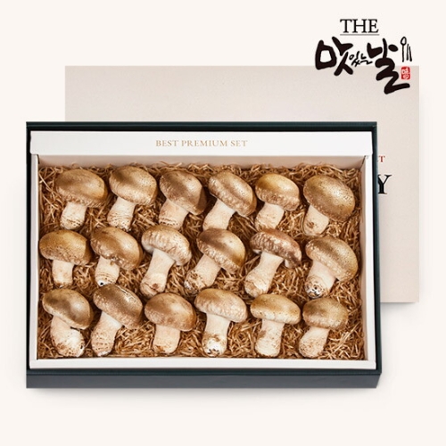 맛있는날 무농약 참송화버섯 프리미엄 선물세트 19~21개 800g (1개)_이미지
