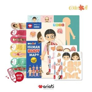 마그피아 아띠노리 휴먼 바디 맵 AMP-038