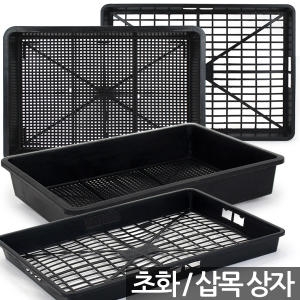 [불명] 삽목상자 초화상자 1P 육묘상자 포트상자 포트운반 모종운반 트레이 박스 삽목박스 초화박스 육모박스_이미지