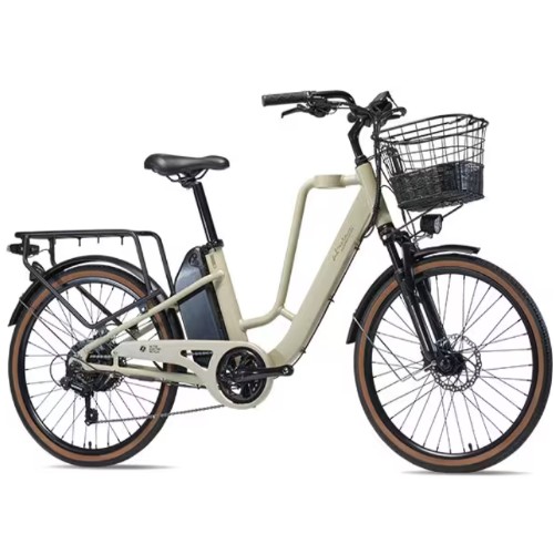 알톤스포츠 알마타 247 DUAL (2025년형) (48V, 15Ah)_이미지