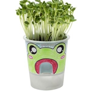 SA 거꾸로 물주기 화분 식물키우기 무순 1인용포장