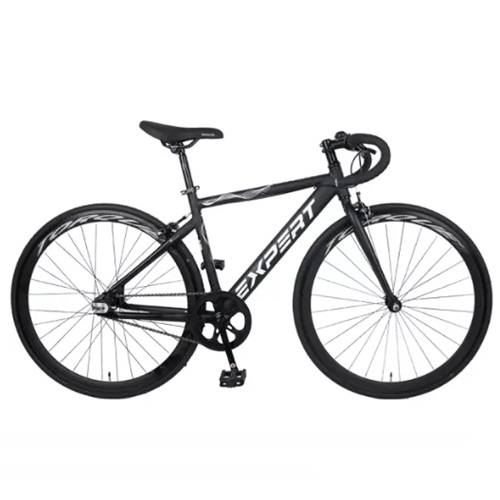 엑스퍼트 700C (2025년형)