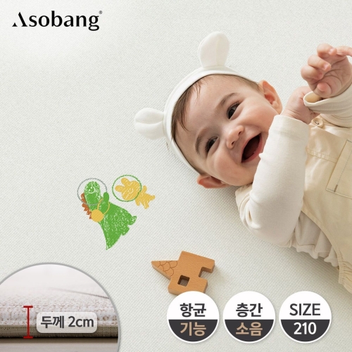 ��ũ�� �Ƽҹ� �Ƽҹ� ������ ���̹��Ʈ ���̳� �����̽� 210x140x2cm