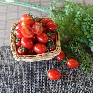 팜웨이 대추방울토마토 특 1-2번과 5kg