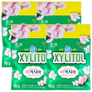 해태제과 자일리톨 아카시아 90g (4개)