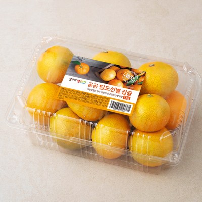 곰곰 당도선별 제주감귤 로열과 (1kg,1개)_이미지