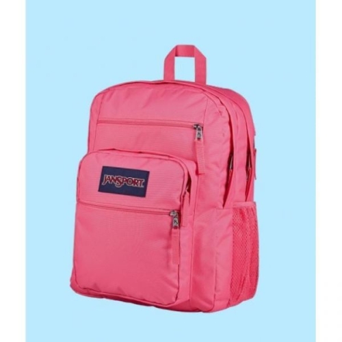 잔스포츠 ltgt 빅스튜던트 POSH PINK JS0A47JKEX2 145593_이미지