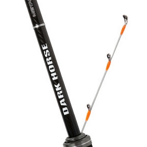 NS 블랙홀 다크호스 메탈리코