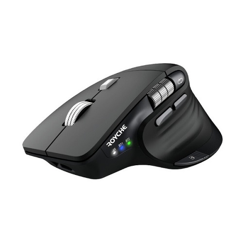 ROYCHE RX-900S ����