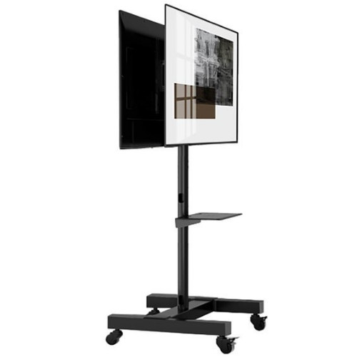 ������ڸ��� DUAL TS-B64