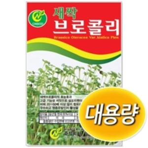 아시아종묘 대용량 새싹브로콜리 새싹씨앗 브로콜리싹 씨앗 새싹_이미지