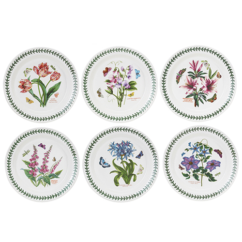 ��ǰ �� �̹���