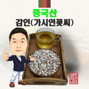 중국산 감인 가시연꽃씨   경북 영천  수입산_이미지