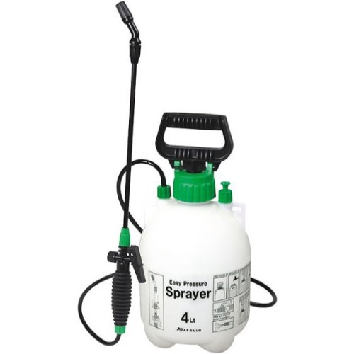 ������ ���� ���� �й��� 4L