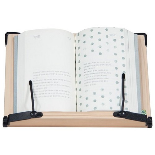 �˸��� ���� �ױ� ������ SS300