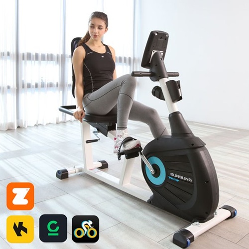 은성헬스빌 좌식 사이클 V-501 (일반구매)