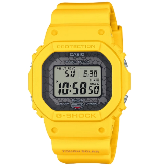 G-SHOCK X 찰스 다윈 재단 콜라보레이션 GW-B5600CD-9_이미지