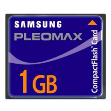 플레오맥스 PLEOMAX CF 120X (1GB)_이미지