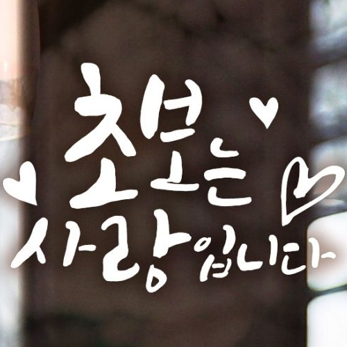 제제데코 자동차스티커 캘리빈티지 B002 초보는사랑 (화이트)