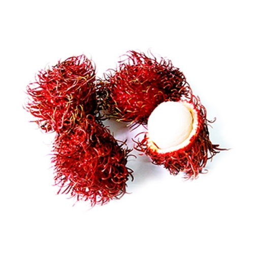 우리존 냉동 람부탄 1kg (1개)_이미지