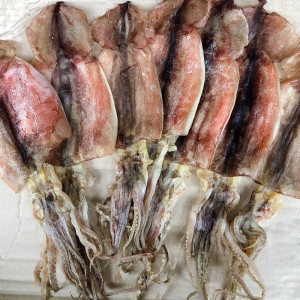 동해안 햇 반건조오징어 10마리 소 1kg 피데기오징어