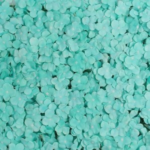 [�Ҹ�] Ʈ�� ������ ��ȭ �ɺ� FL17 �ö���� ������ ��ȭ�����