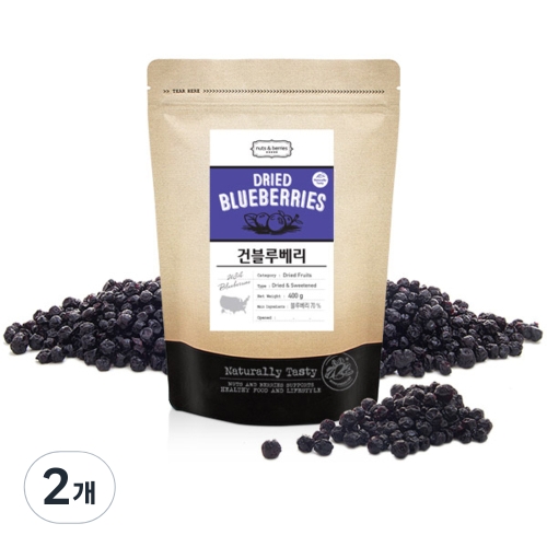 넛츠앤베리스 건블루베리 (400g,2개)