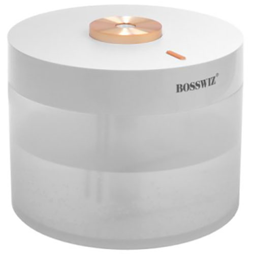 아이온코리아 BOSSWIZ 레트로 무선 HM-450