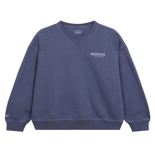 �Ǳ׸�Ʈ BOS ���� ������_N251TS121P1_DJ