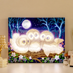 DIY LED 캔버스형 보석십자수 40 50 cm 부엉이 가족 1개