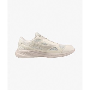 맥시마이저 27 K1GA250008