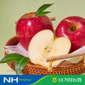 유명산지 아삭달콤한 거창 꿀사과 못난이사과 5kg 대과 14-16과 내외_이미지