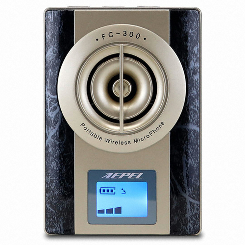 AEPEL FC-300_이미지