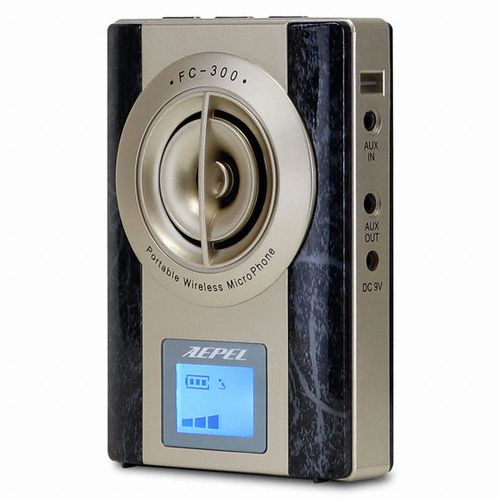 AEPEL FC-300_이미지