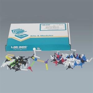 DNA ���ڸ�ŰƮ M46026 -����