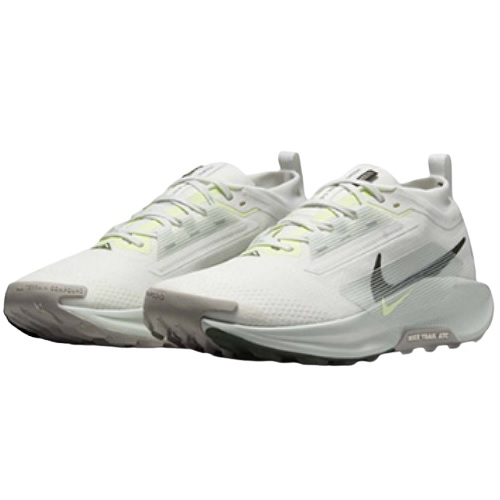 나이키 페가수스 트레일 5 고어텍스 FQ0908-102 (병행)_이미지